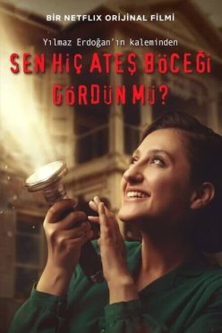 Вы когда-нибудь видели светлячков?