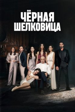 Черная шелковица