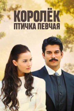 Королёк - птичка певчая