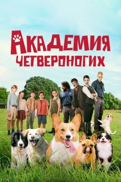 Академия четвероногих