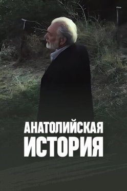 Анатолийская история