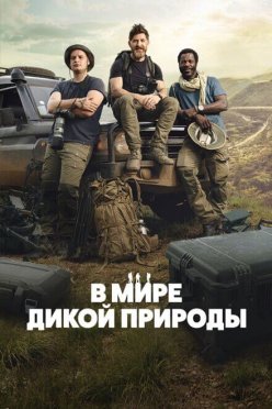 В мире дикой природы