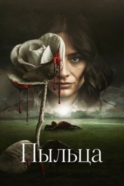 Пыльца