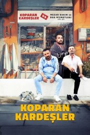Братья Копаран