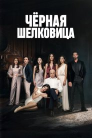 Черная шелковица