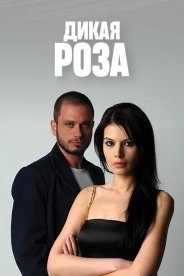 Дикая роза