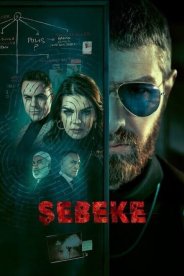 Сеть