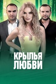 Крылья любви