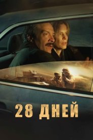 28 дней