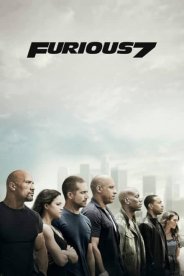Форсаж 7