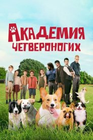 Академия четвероногих