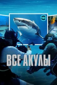 Все акулы