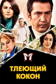 Тлеющий кокон