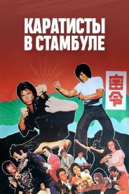 Каратисты в Стамбуле