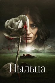 Пыльца