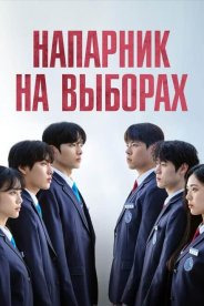 Напарник на выборах