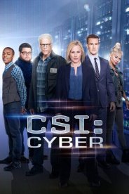 CSI: Киберпространство